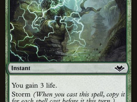 Weather the Storm [Modern Horizons] For Discount