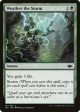 Weather the Storm [Modern Horizons] For Discount