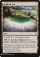 Blighted Fen [Mystery Booster] For Cheap