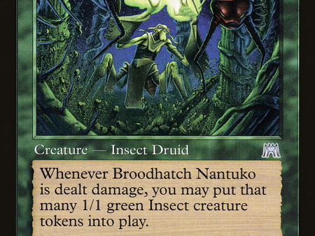 Broodhatch Nantuko [The List] For Cheap