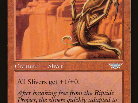 Blade Sliver [The List] For Cheap